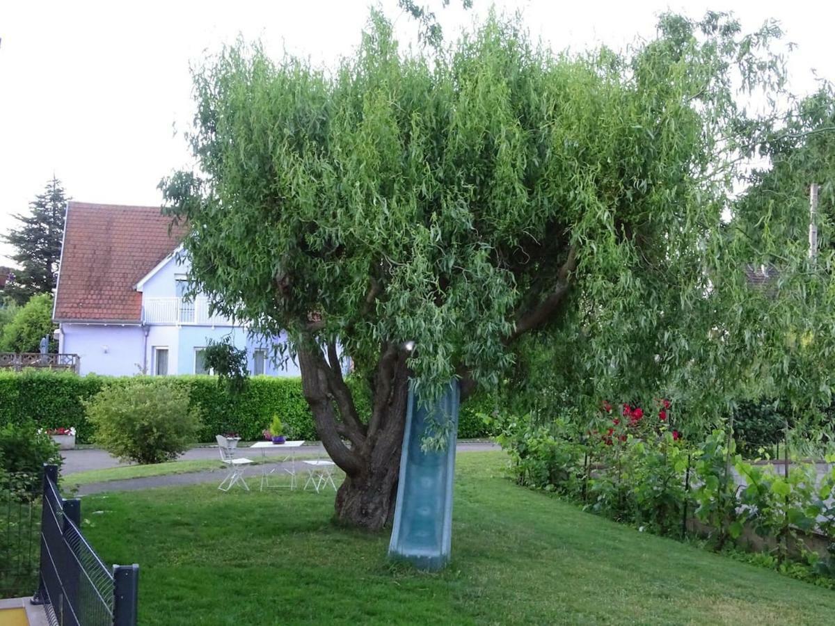 Tiny-House Villa Wihr-au-Val Exterior foto